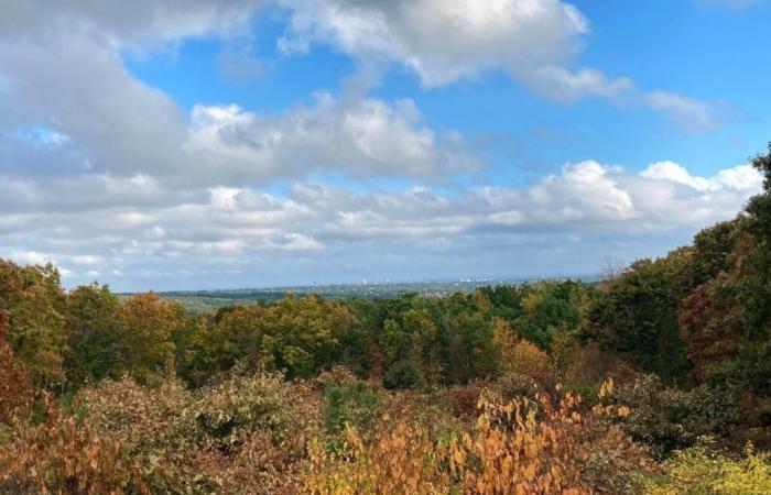 ¿Cuánto durará el cálido otoño de RI? Vea las perspectivas de noviembre