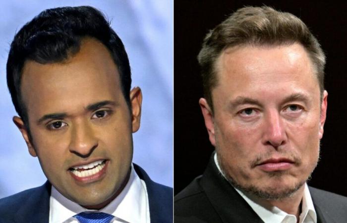 Trump nombra a Elon Musk para liderar el llamado ‘DOGE’ con Vivek Ramaswamy: NPR