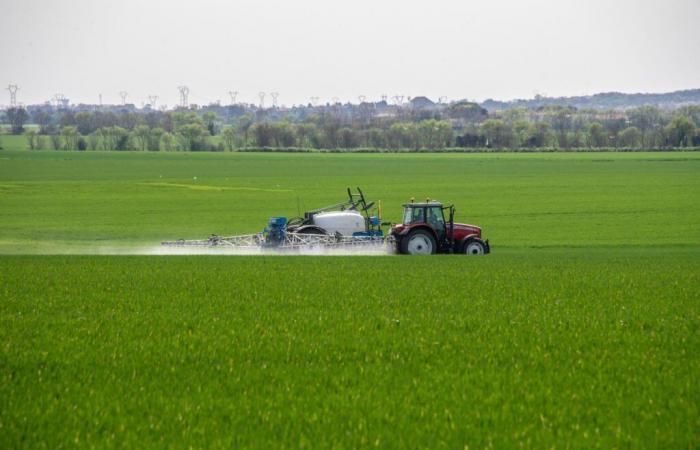 El agua potable francesa amenazada de incumplimiento por un eterno contaminante