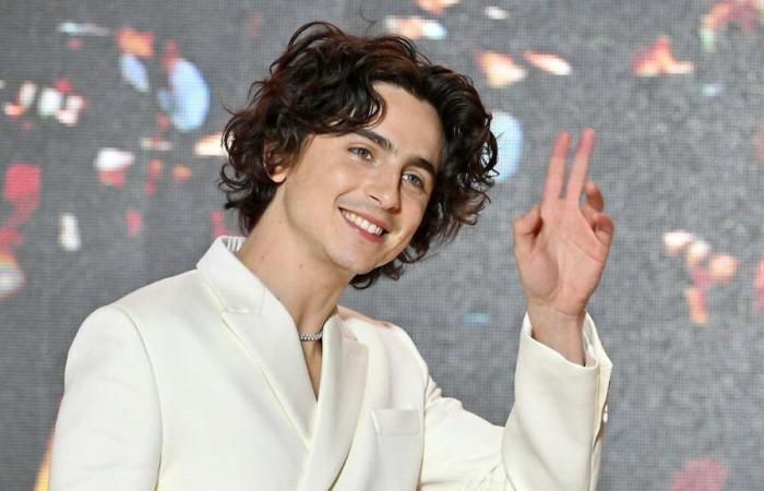 Timothée Chalamet admite haber sido víctima de “body shaming” al inicio de su carrera