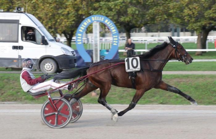 Ginostrabliggi encabeza el Gran Premio Anact de Turín