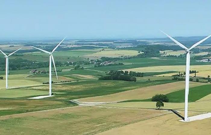 Eólica terrestre AO: Neoen a la cabeza, los precios siguen subiendo