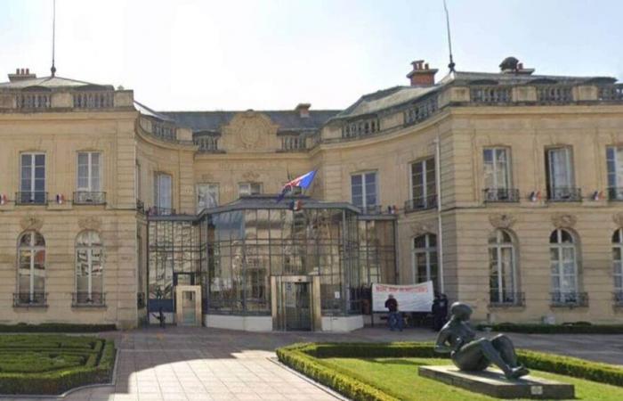 Este municipio de Sena-Saint-Denis recibe una multa de 25.000 euros tras talar un árbol japonés