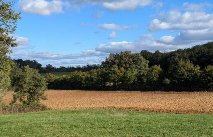 Crisis agrícola. Una veintena de agricultores vacían sus bolsas ante un senador del Lot