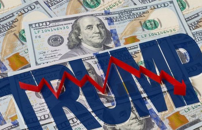 La victoria de Trump hizo subir el dólar y caer el euro [ABO]