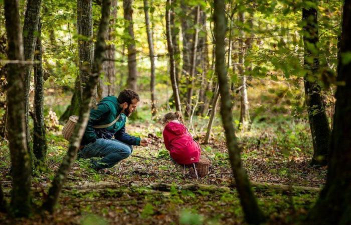 Drôme – Idea para una excursión