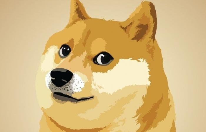 Dogecoin alcanza un máximo de 43 centavos en el continuo júbilo electoral