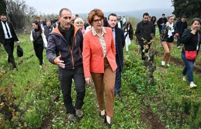 “No debe haber violencia”, advierte la ministra de Agricultura