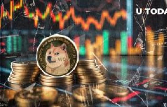 Dogecoin (DOGE) revela 4 consejos clave de supervivencia para inversores ahora mismo