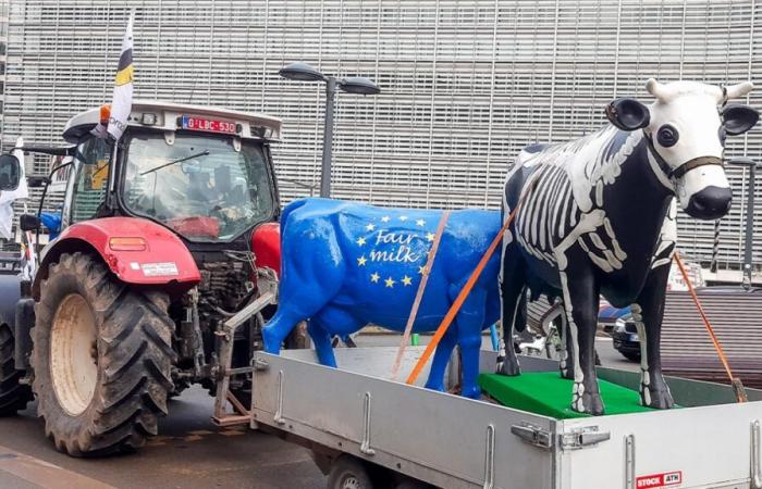 Los tractores han vuelto: los agricultores se manifestarán en Bruselas este miércoles, se esperan problemas de tráfico