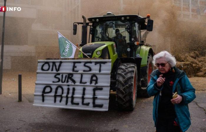 Agricultores enojados: por qué la movilización se reanuda en casi todas partes de Francia