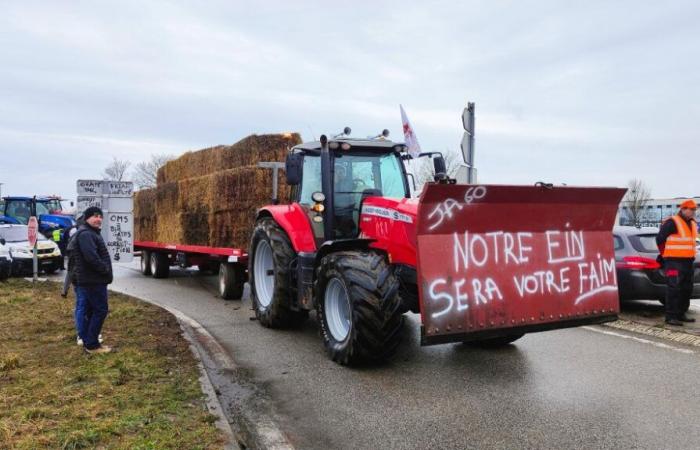 Los agricultores de Oise se manifestarán el lunes 18 de noviembre en Beauvais