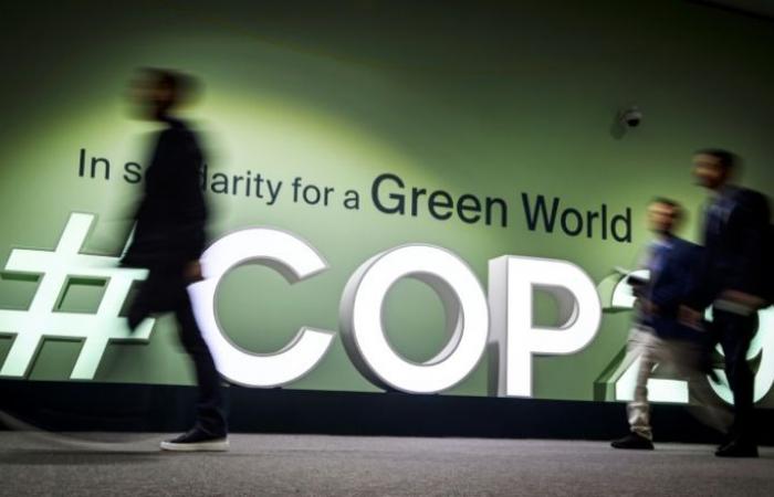 En el podio de la COP29, opiniones divergentes sobre el futuro del petróleo – 12/11/2024 a las 17:23