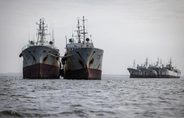 Los barcos europeos dejarán de pescar en Senegal tras la no renovación de un acuerdo