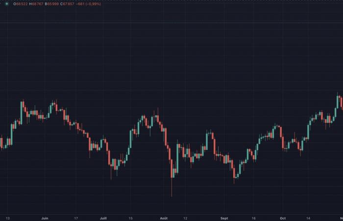 Bitcoin: ¡La explosión de BTC lo proyecta al octavo activo global!