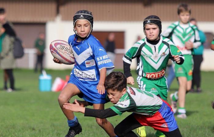 XIII torneo de la Liga de Rugby Jean Quaranta de Cahors: cuatrocientos niños en el festival de la liga de rugby