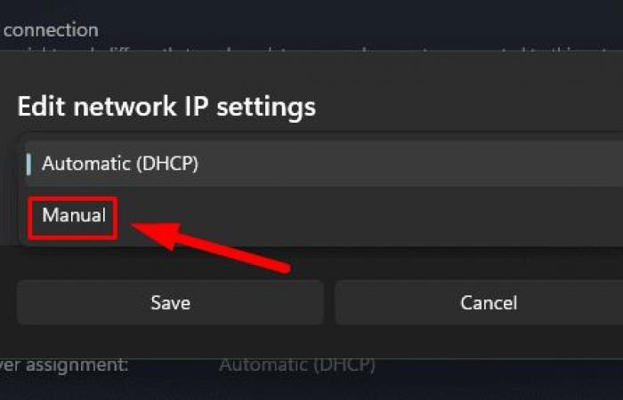 No se puede encontrar la dirección DNS en Windows 11