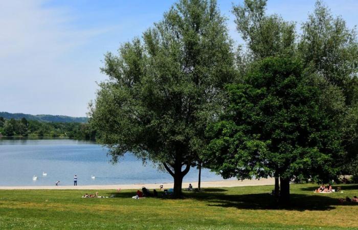 Los comerciantes se movilizaron para salvar un lago que se está vaciando visiblemente