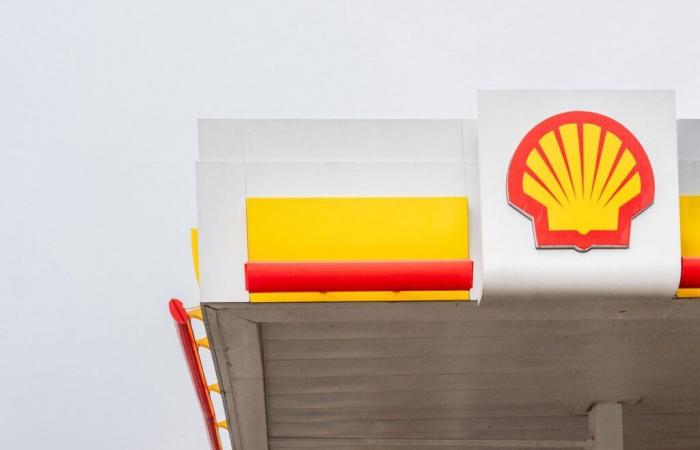 ONG rechazadas en apelación en caso contra Shell