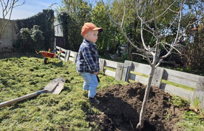 ¡Esta pequeña ciudad del Loira Atlántico ofrece árboles a sus habitantes!