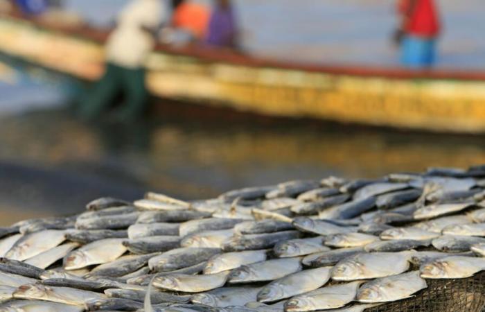 Los barcos europeos dejarán de pescar en el país tras la expiración del acuerdo