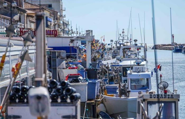 Esfuerzo pesquero, salida de la flota… ante las dificultades de los pescadores de Grau-du-Roi, esperaba el ministro en Gard este viernes