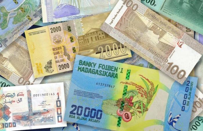 Rusia y los estados africanos están a favor de ampliar el uso de monedas nacionales en el comercio