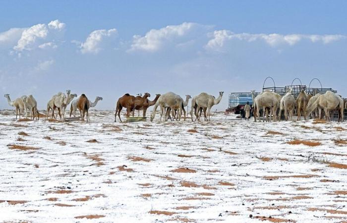 Sorprendentes imágenes de un desierto cubierto de granizo y nieve en Arabia Saudita