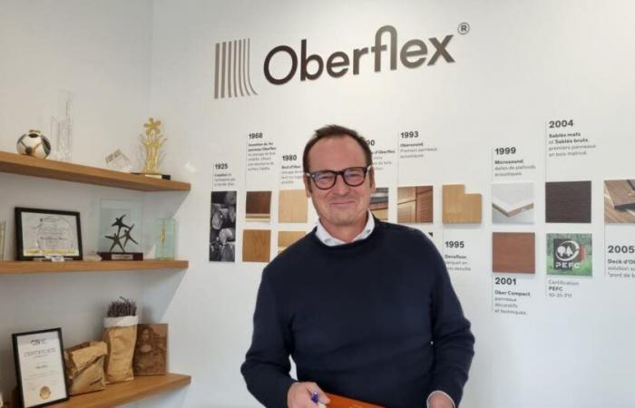 Mosa. Oberflex, superficies y soluciones populares en todo el mundo