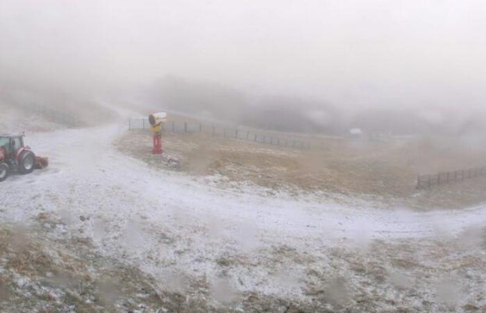 Informe meteorológico. Ha nevado en el Loira, descubre las primeras imágenes