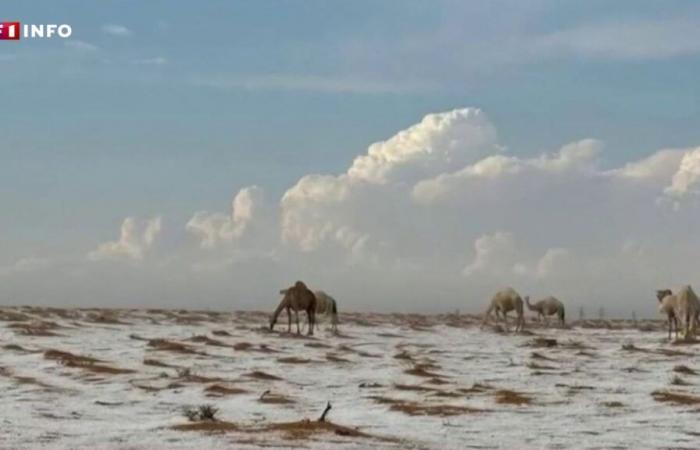 Arabia Saudita: imágenes asombrosas del desierto cubierto de granizo