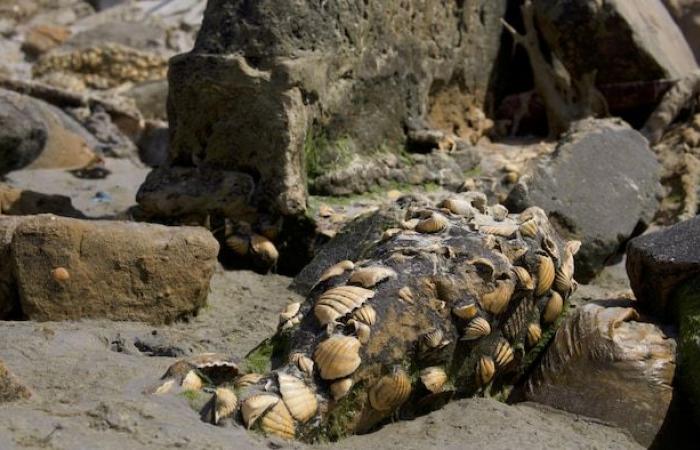 Cuando el océano se traga las costas de Senegal