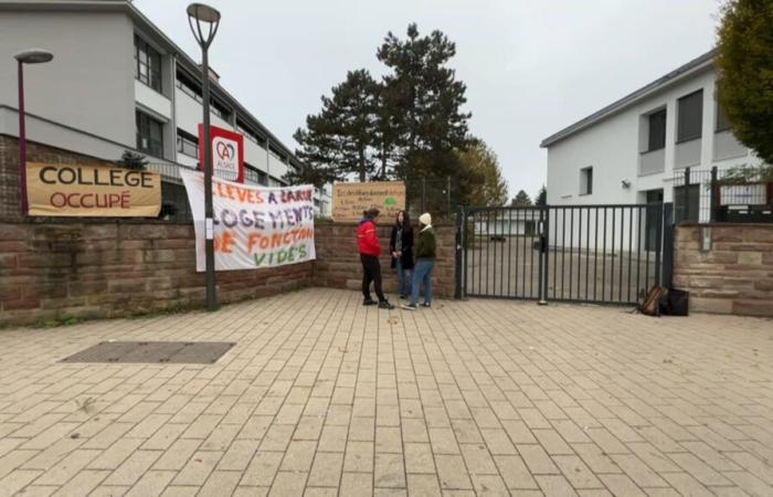 Profesores universitarios en huelga para conseguir realojamiento para estudiantes sin hogar