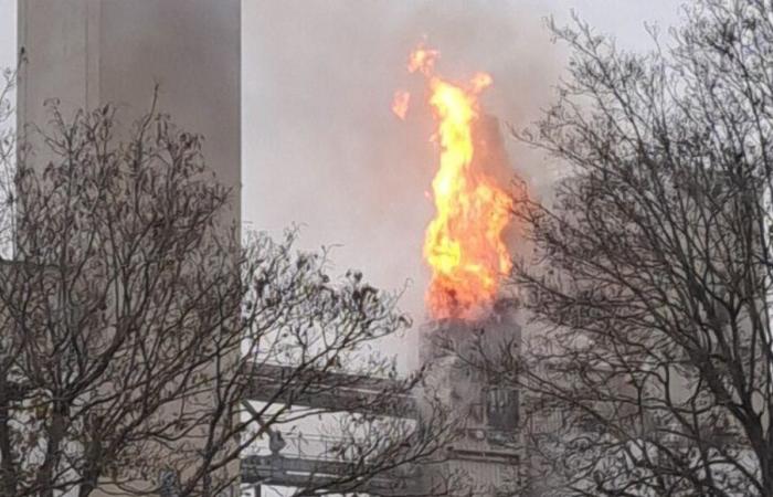 Côte-d’Or: un silo de la cooperativa agrícola Bourgogne du Sud víctima de un gran incendio en Beaune