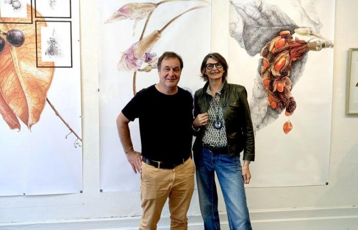 “No hay plantas malas”: el agrónomo del Gers Alain Canet y la ilustradora Florence Gendre presentan su “Elogio de los indisciplinados”