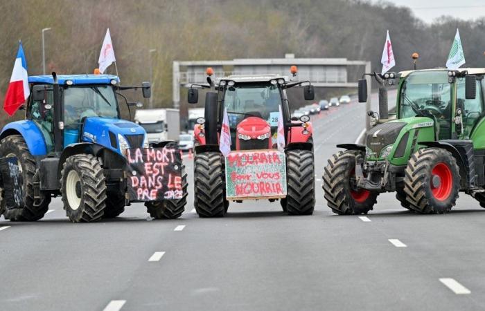 Crisis agrícola: FNSEA llama a la movilización nacional “a partir del próximo lunes”