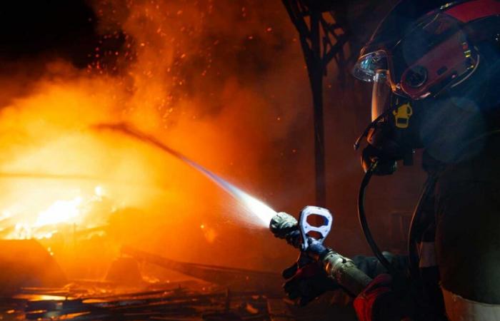 Los bomberos rescatan animales de un edificio en llamas.