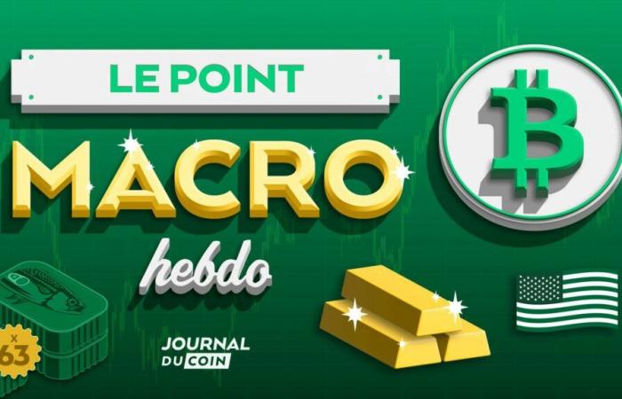 Bitcoin, oro, S&P 500 y NASDAQ en máximos – Le Point Macro