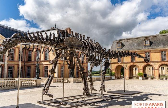 Vulcano, el dinosaurio más grande vendido en subasta este sábado 16 de noviembre en Dampierre-en-Yvelines