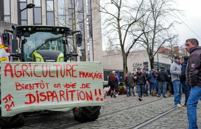 Más de 600 parlamentarios franceses afirman en un foro su oposición al acuerdo comercial entre la Unión Europea y Mercosur