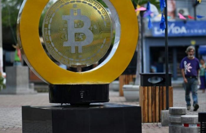 Electrificado por Trump, bitcoin supera la marca de los 90.000 dólares: Noticias