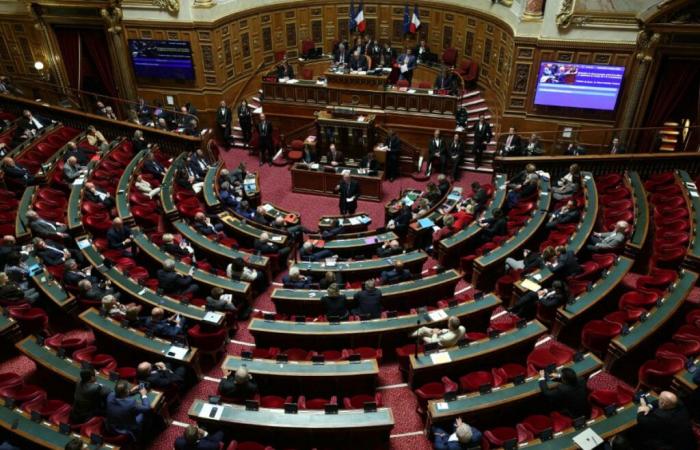 Trabajar 7 horas más al año sin sueldo: senadores proponen un nuevo aporte solidario para los trabajadores – 13/11/2024 a las 17.56