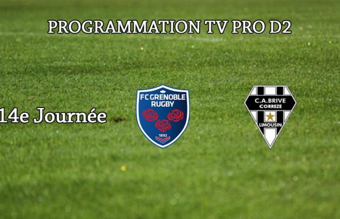 La programación de TV del J14 del Pro D2