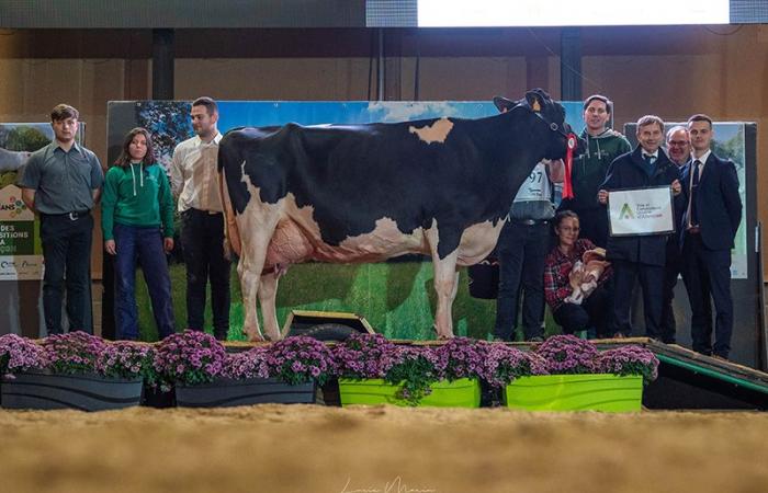 Ganadores del concurso departamental de Orne 2024