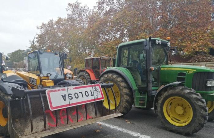 Tolosa. Los agricultores preparan una movilización a gran escala para finales de mes