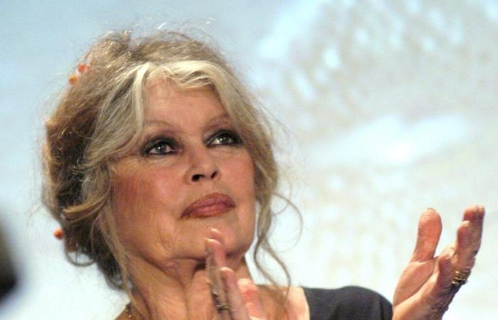 Casada cuatro veces, Brigitte Bardot habla de su vida amorosa: “Nunca he…”