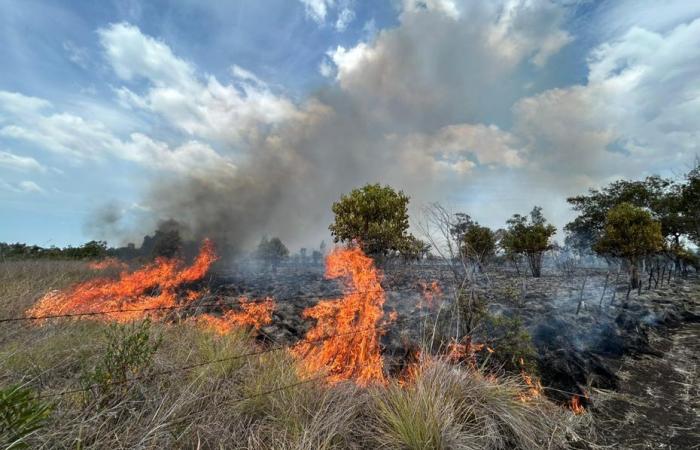 Un violento incendio arrasa la vegetación cercana al aeródromo de Koné