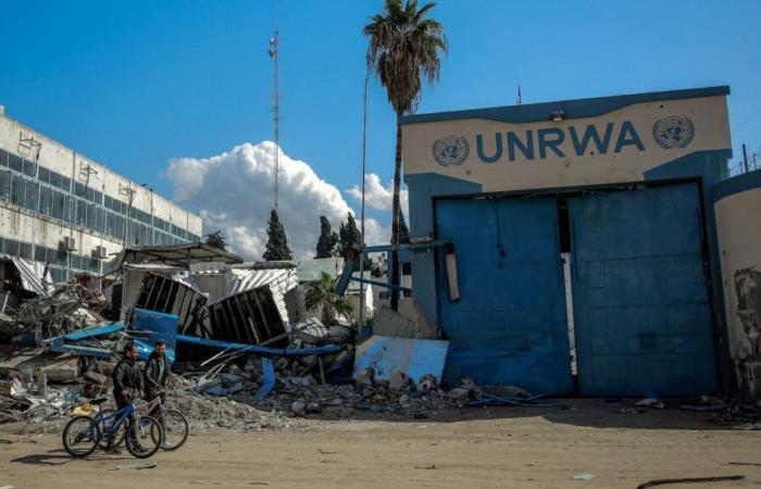 En Gaza, la ira y la indignación de un funcionario de la UNRWA