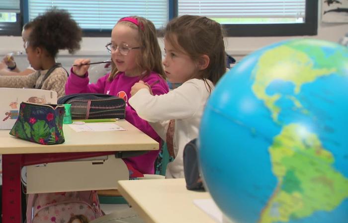 Decenas de postales llegan cada día a la escuela de Plouarzel, “nos ayuda a conocer el mundo”