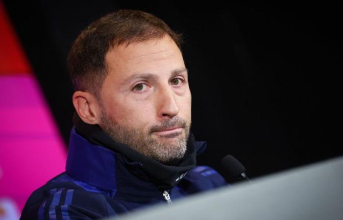 Domenico Tedesco antes de Bélgica – Italia: ‘¡Nunca había vivido una situación así!’